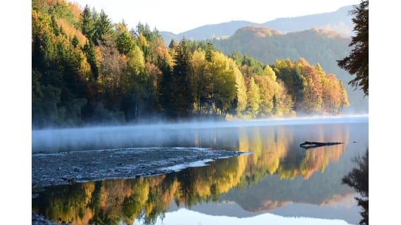 big_502712536_4029055647377027_45388064219730093_n