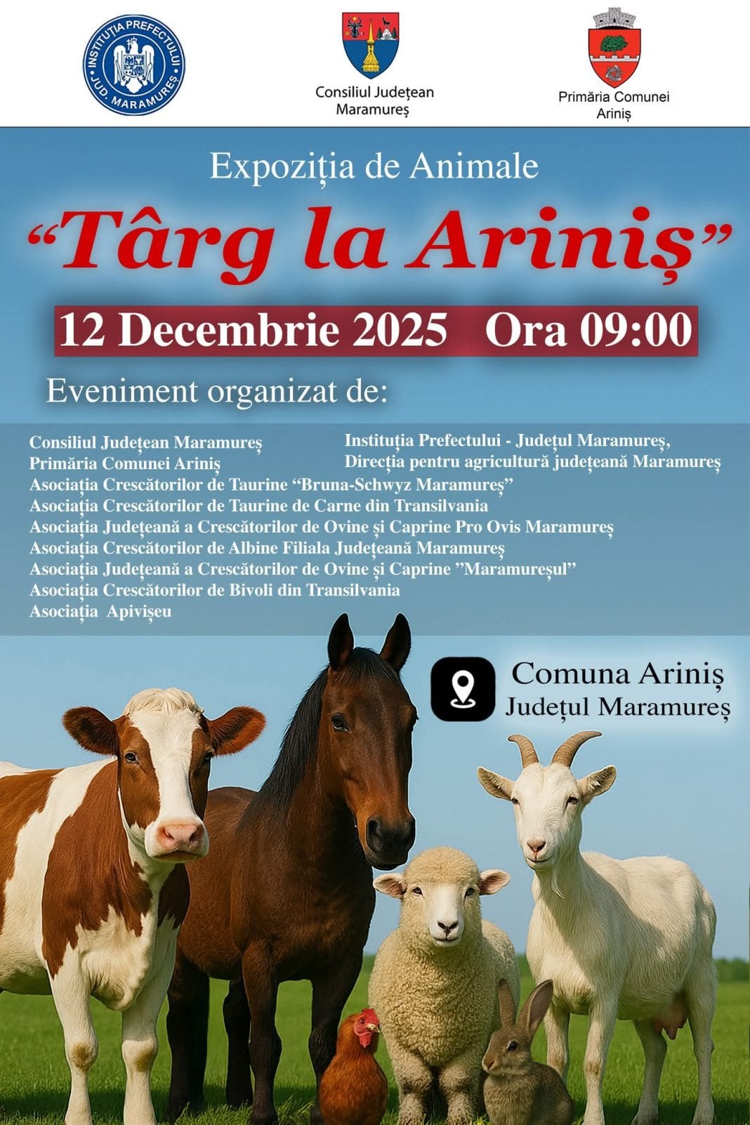 FB_IMG_1765433700973