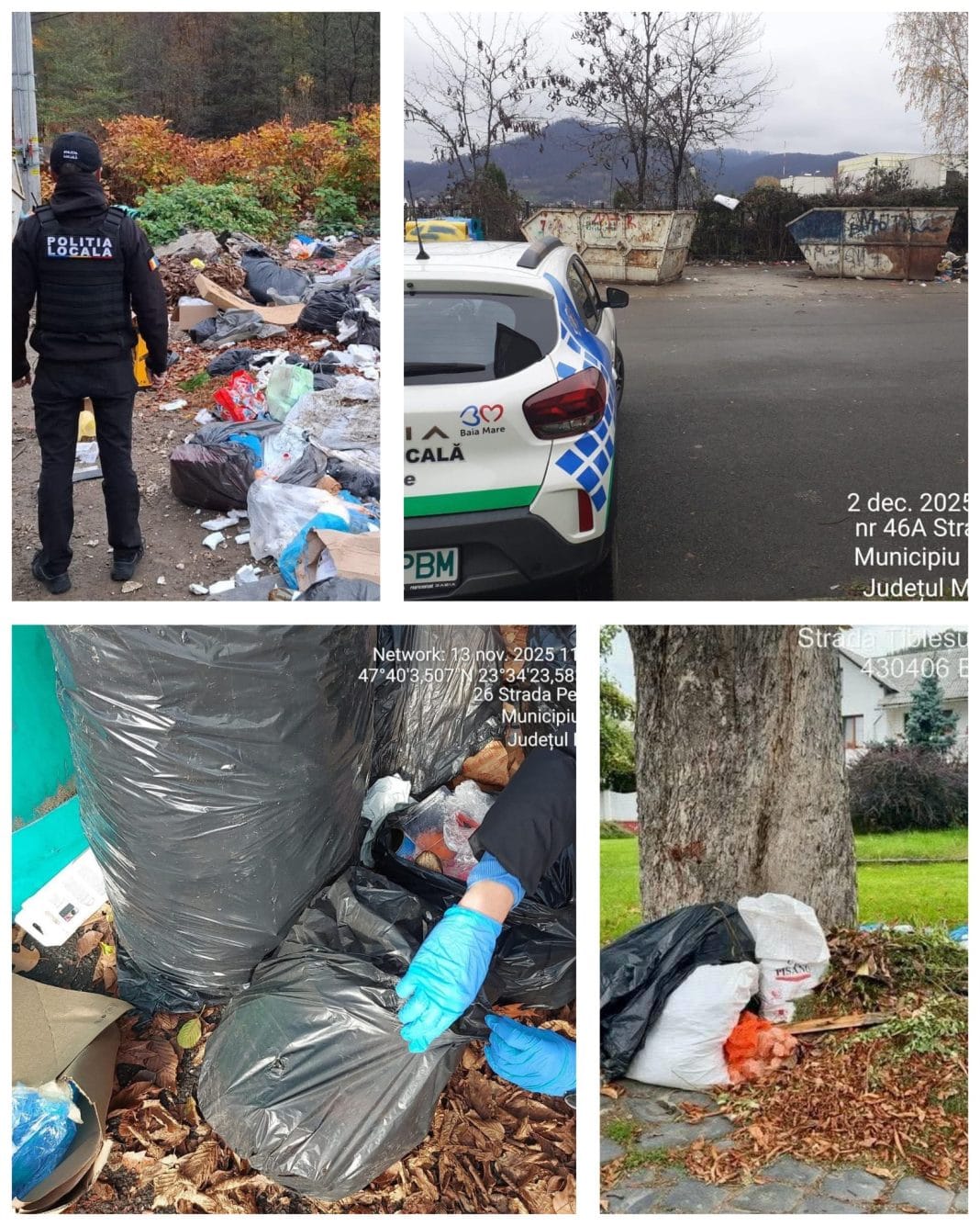 InCollage_20251213_121216026