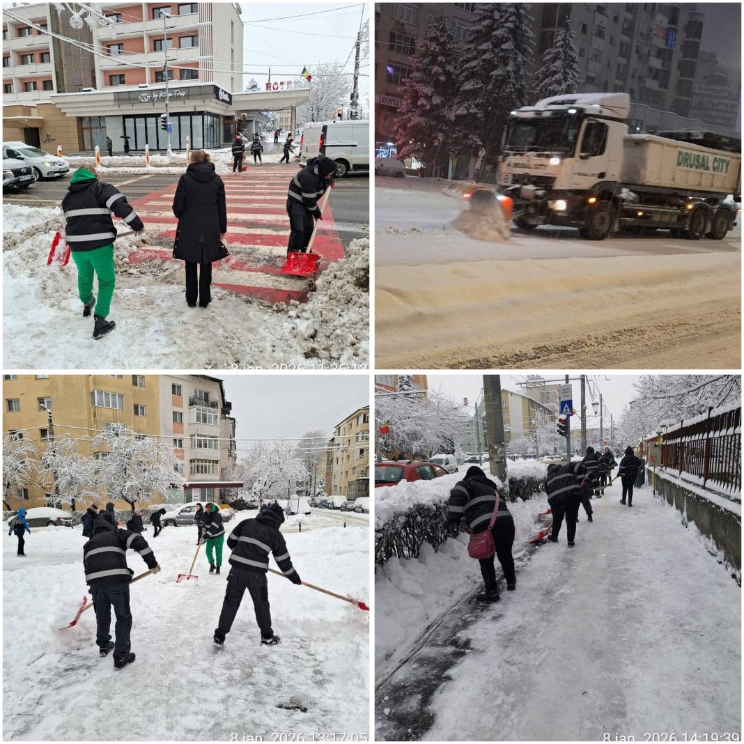 InCollage_20260108_213720398