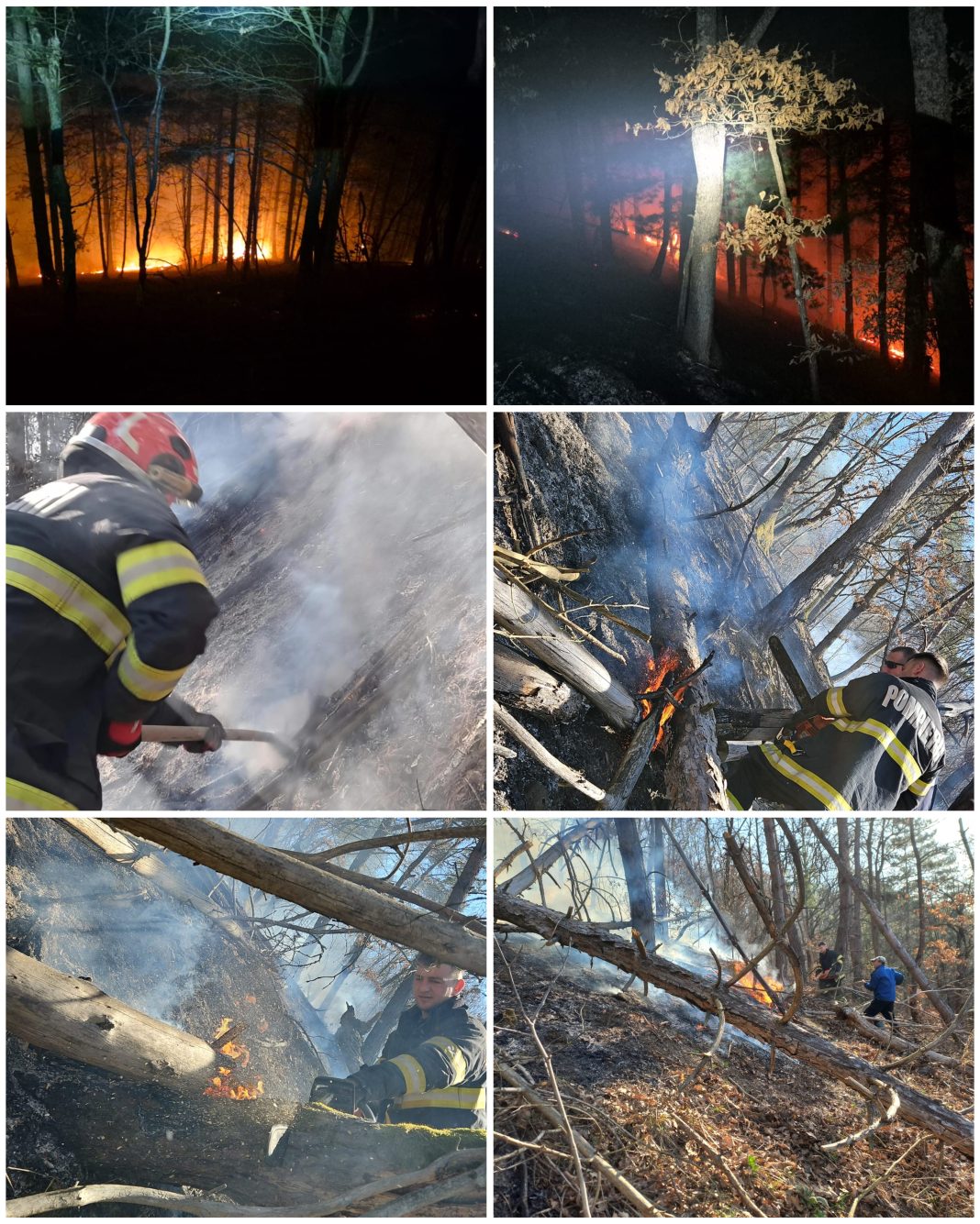 InCollage_20260315_105945830