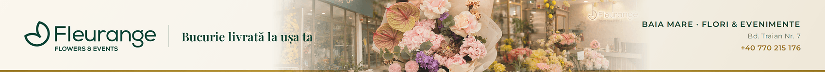 spot_img